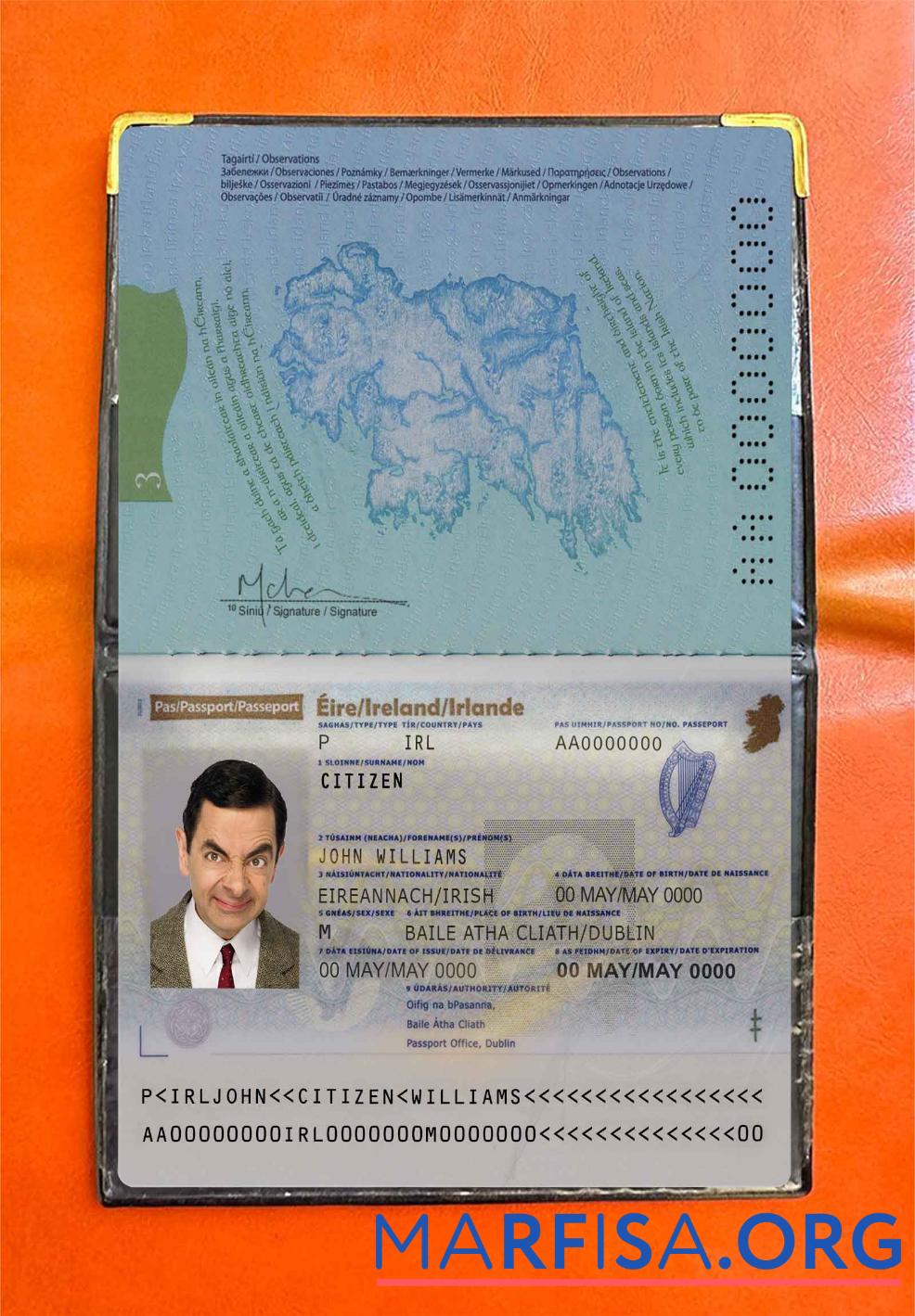 Blank Ireland passport photo look download for verification